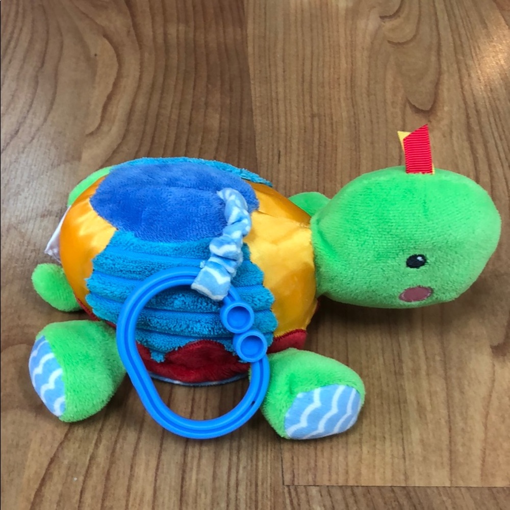Rattle and crinkle turtle